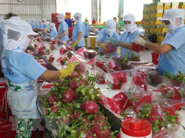 เวียดนามส่งออกผักผลไม้มากกว่า 3.3 พันล้านเหรียญสหรัฐ