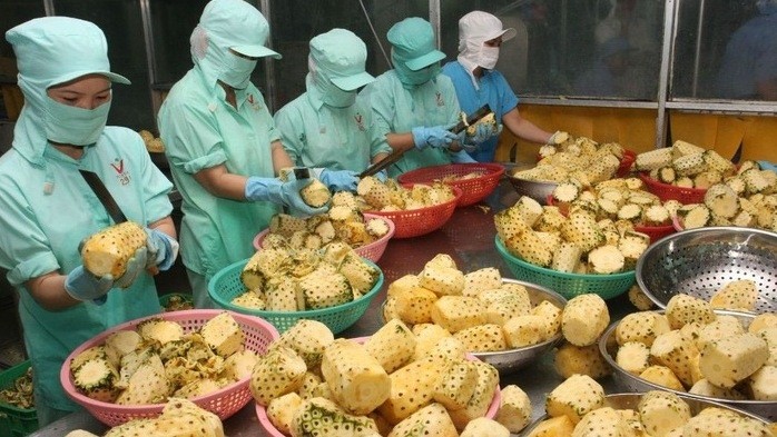 เวียดนามเผนการส่งออกสินค้าเกษตรพุ่งสูงขึ้น 26.58 พันล้านดอลลาร์สหรัฐฯ
