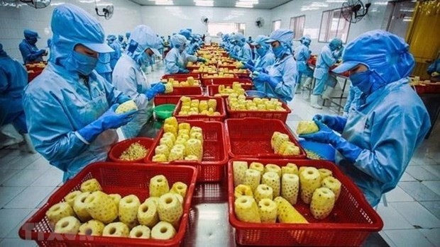 เวียดนามเผยยอดมูลค่าการส่งออกผักผลไม้ 2.53 พันล้านดอลลาร์สหรัฐฯ