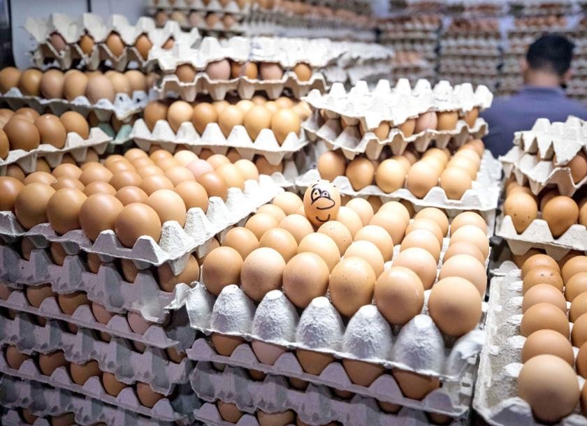 ราคาไข่ในประเทศลดลงผลจากปัญหาโลจิสติกส์