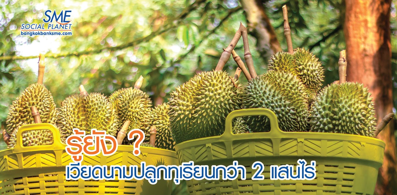 จับตาตลาดทุเรียนเวียดนาม ‘คู่แข่ง’ ทุเรียนไทย