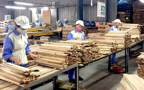 เวียดนามคาดว่ายอดการส่งออกสินค้าป่าไม้ 11.3 พันล้านดอลลาร์สหรัฐ ในปี 2562