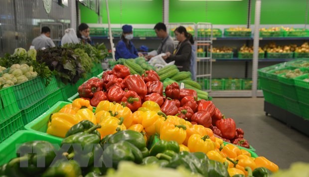 เวียดนามตั้งเป้ายอดส่งออกผักผลไม้ 5 พันล้านดอลลาร์สหรัฐ ในปี 2563