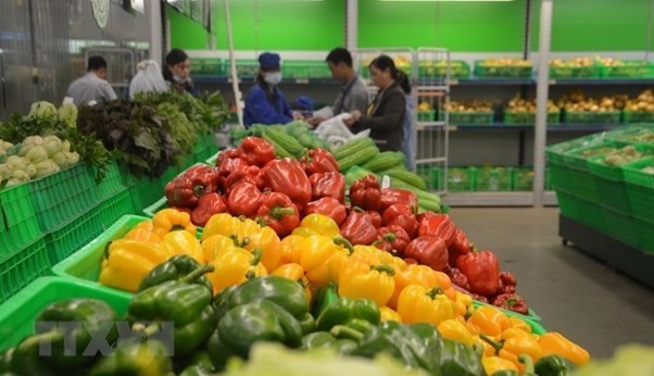 สหรัฐฯ เป็นซัพพลายเออร์ผักผลไม้รายใหญ่ที่สุดของเวียดนาม