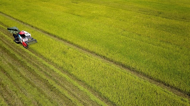 ‘เวียดนาม’ติดท็อป 15 ประเทศเกษตรกรรมชั้นนำโลก