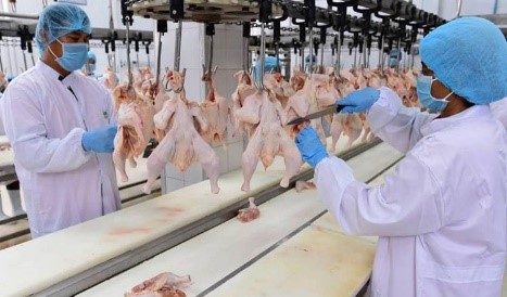 บริษัท ซีพี (กัมพูชา) ลงทุน 67 ล้านดอลลาร์ ในการผลิตอาหารสัตว์