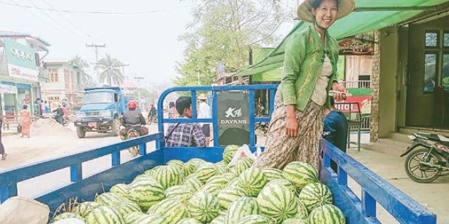เกษตรกรบ้านเมาะ “ปลูกแตงโม” สร้างยอดขายกำไรงาม