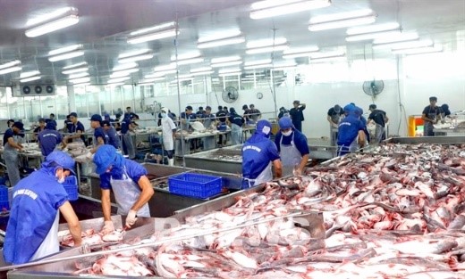 เวียดนามเผยไตรมาส 2 ยอดส่งออกอาหารทะเล พุ่ง 10%
