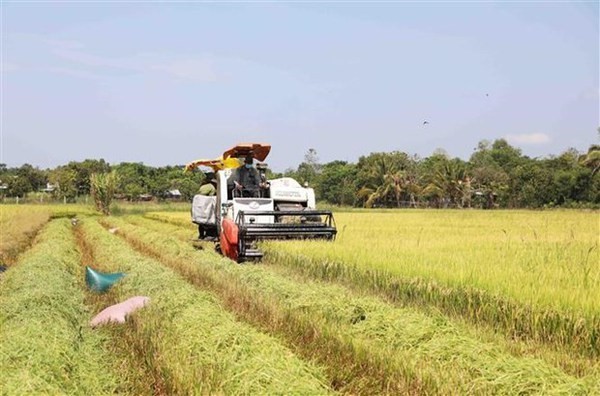 ธุรกิจออสเตรเลีย เล็งลงทุนการเกษตรในเวียดนาม