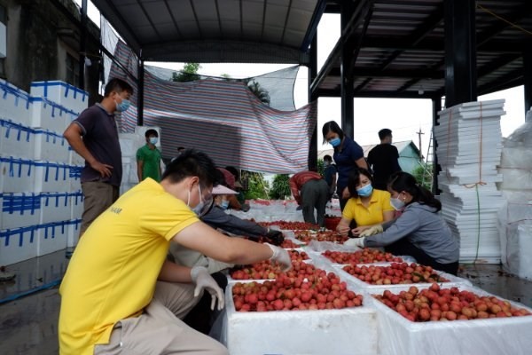 ‘เวียดนาม’ ตั้งเป้าเกษตรกร 5 ล้านครัวเรือน เชื่อมโยงแพลตฟอร์มอีคอมเมิร์ซ