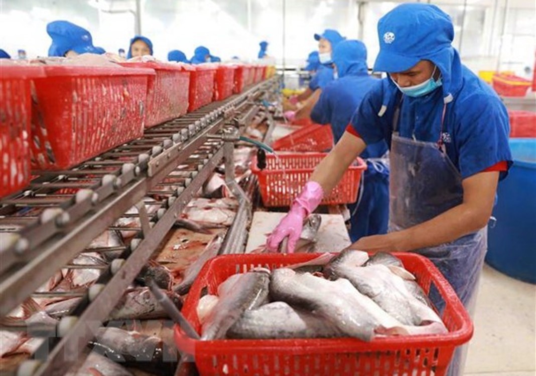 ‘เวียดนาม’ เผยยอดการส่งออกอาหารทะเลดิ่งลงฮวบ ท่ามกลางมาตรการเว้นระยะทางสังคม