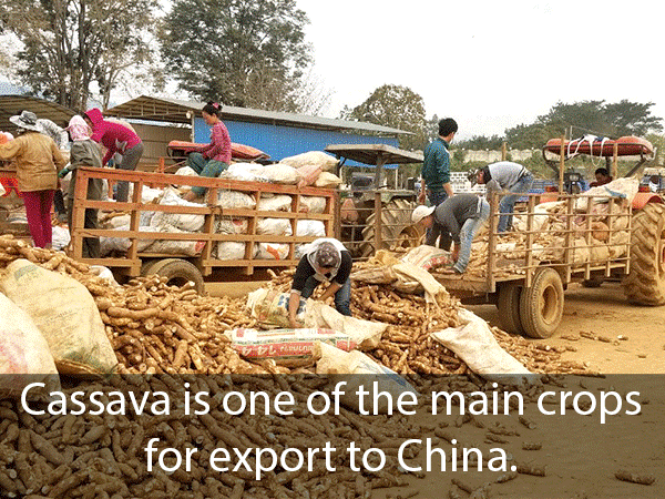 กระทรวงเกษตรและป่าไม้  เตรียมส่งออกพืชผลไปจีน