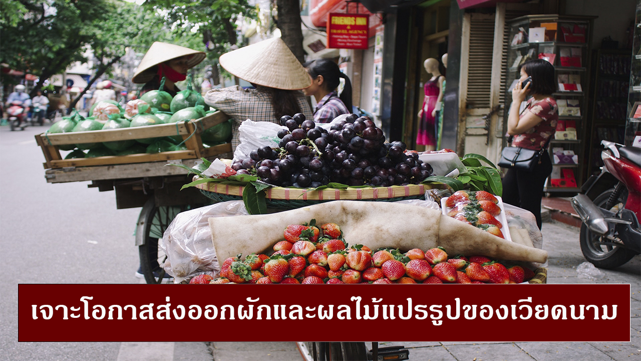 เจาะโอกาสส่งออกผักและผลไม้แปรรูปของเวียดนาม