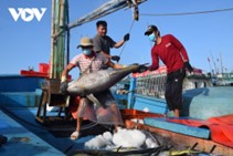 ‘เวียดนาม’ ส่งออกปลาทูน่าไปยังสหราชอาณาจักรลดฮวบ เหตุข้อบังคับที่เข็มงวด