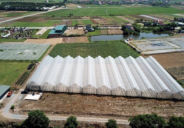 ‘ภาคเกษตรเวียดนาม’ ตั้งเป้าการเติบโต 3.2-4% ปี 67