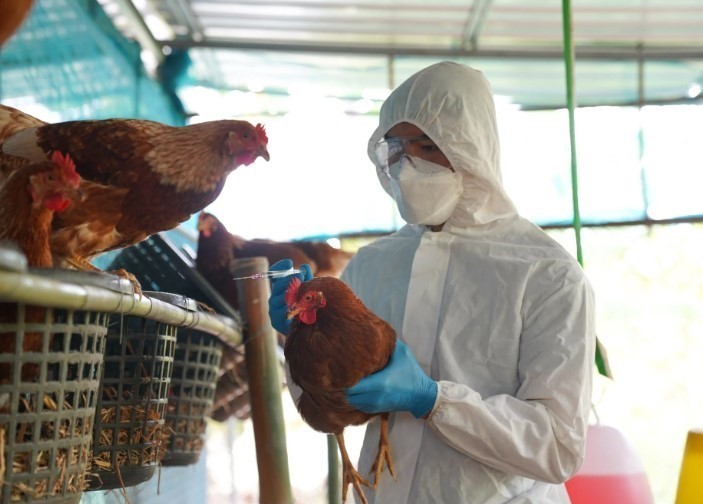 สปป.ลาว ยืนยันการตรวจพบ ‘เชื้อไข้หวัดนก (H5N1) ในเวียงจันทน์’